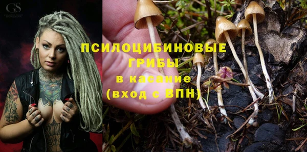 прущие грибы Алексин