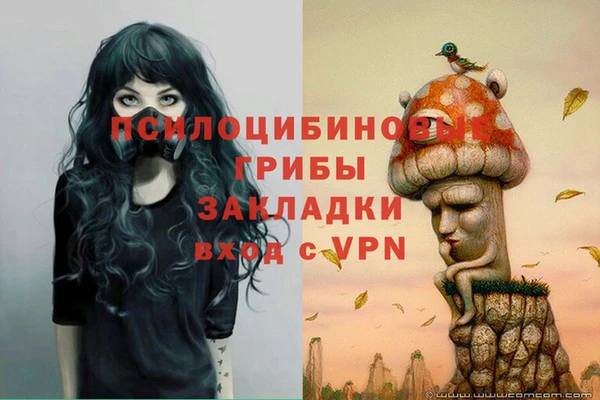 таблы Алексеевка
